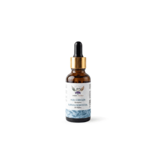 Burning Scented Oil - Eucalyptus